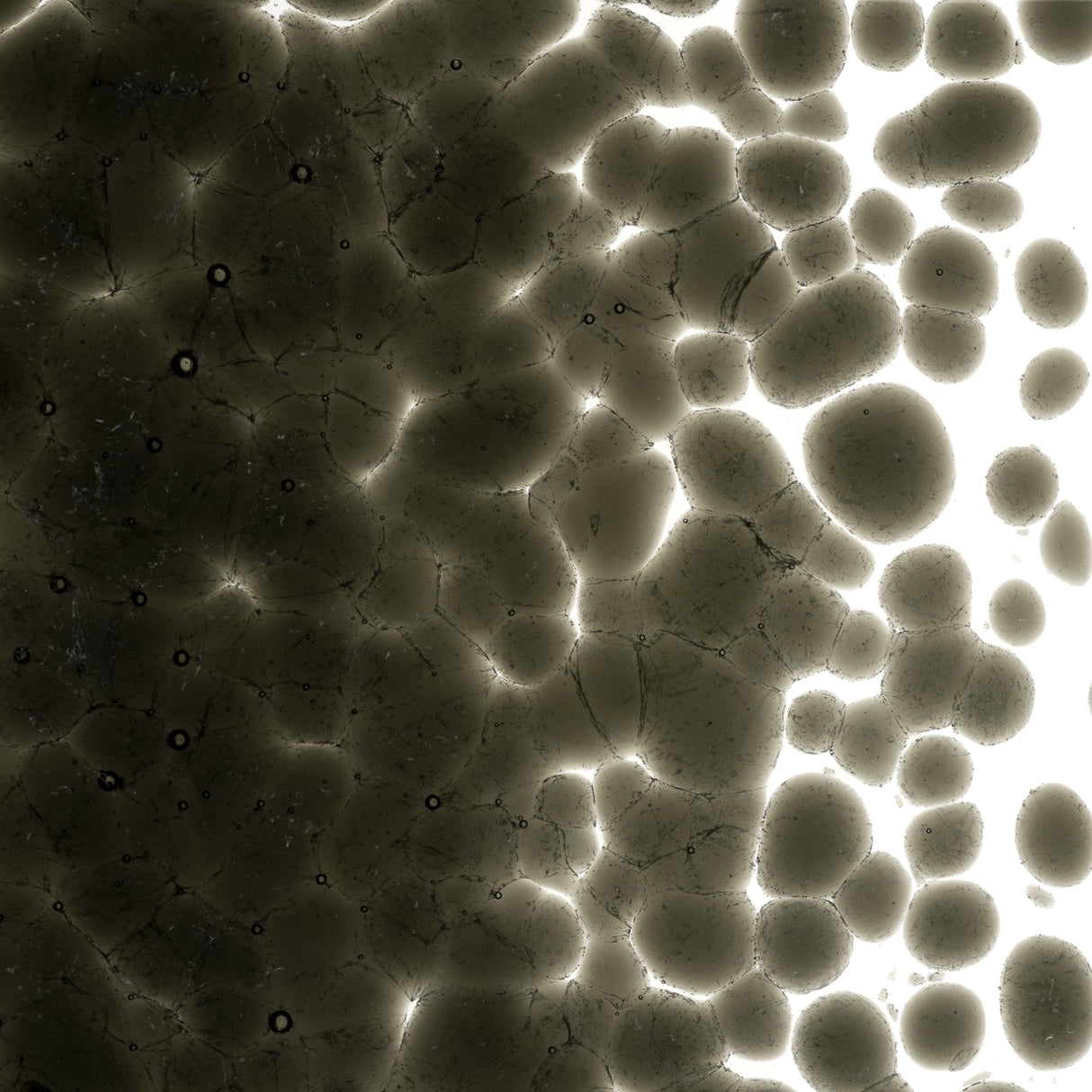 90 Frit Transparent Coarse Gray