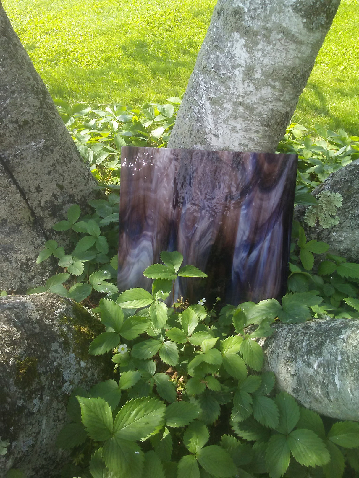 96 COE Hawkwings Pearl Opal