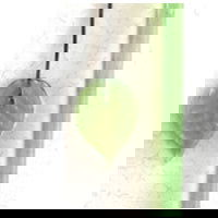 104 Coe Rod Creation is Messy Opal Budgerigar - Stained Glass Express