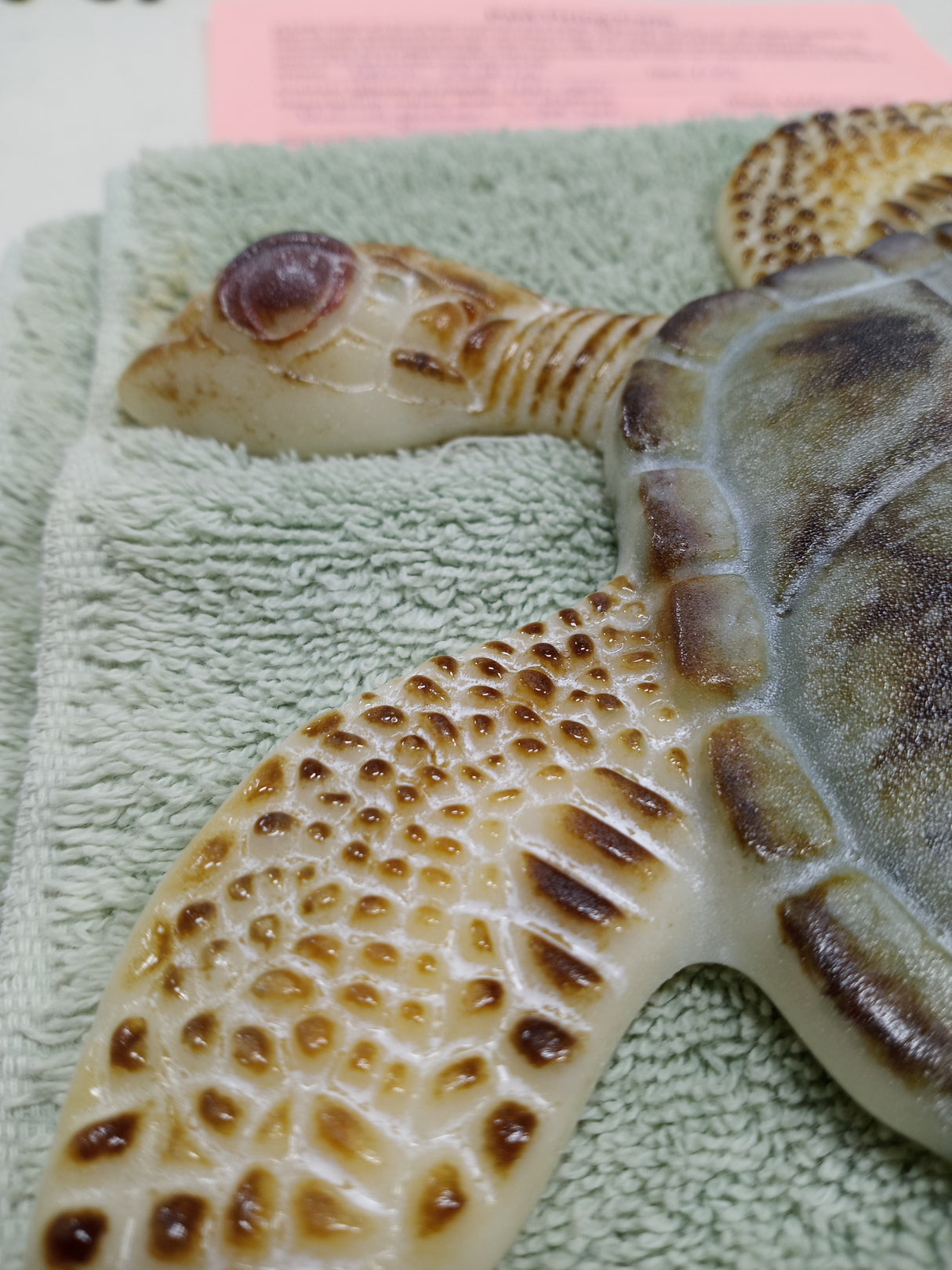 Large Sea Turtle Mold from CPI