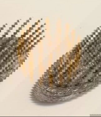 7/8" Diameter Pin Frog - Stained Glass Express