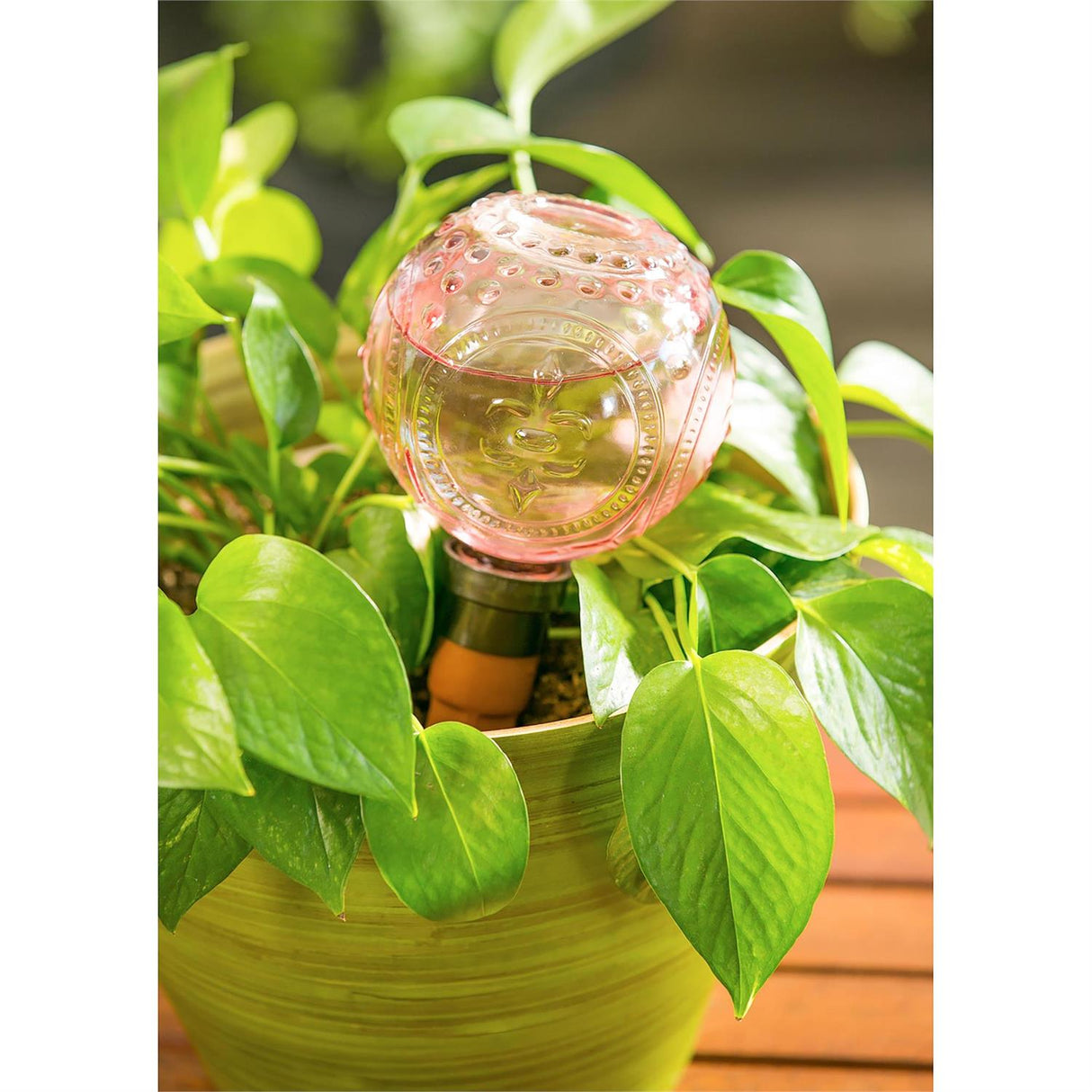 Watering Globe