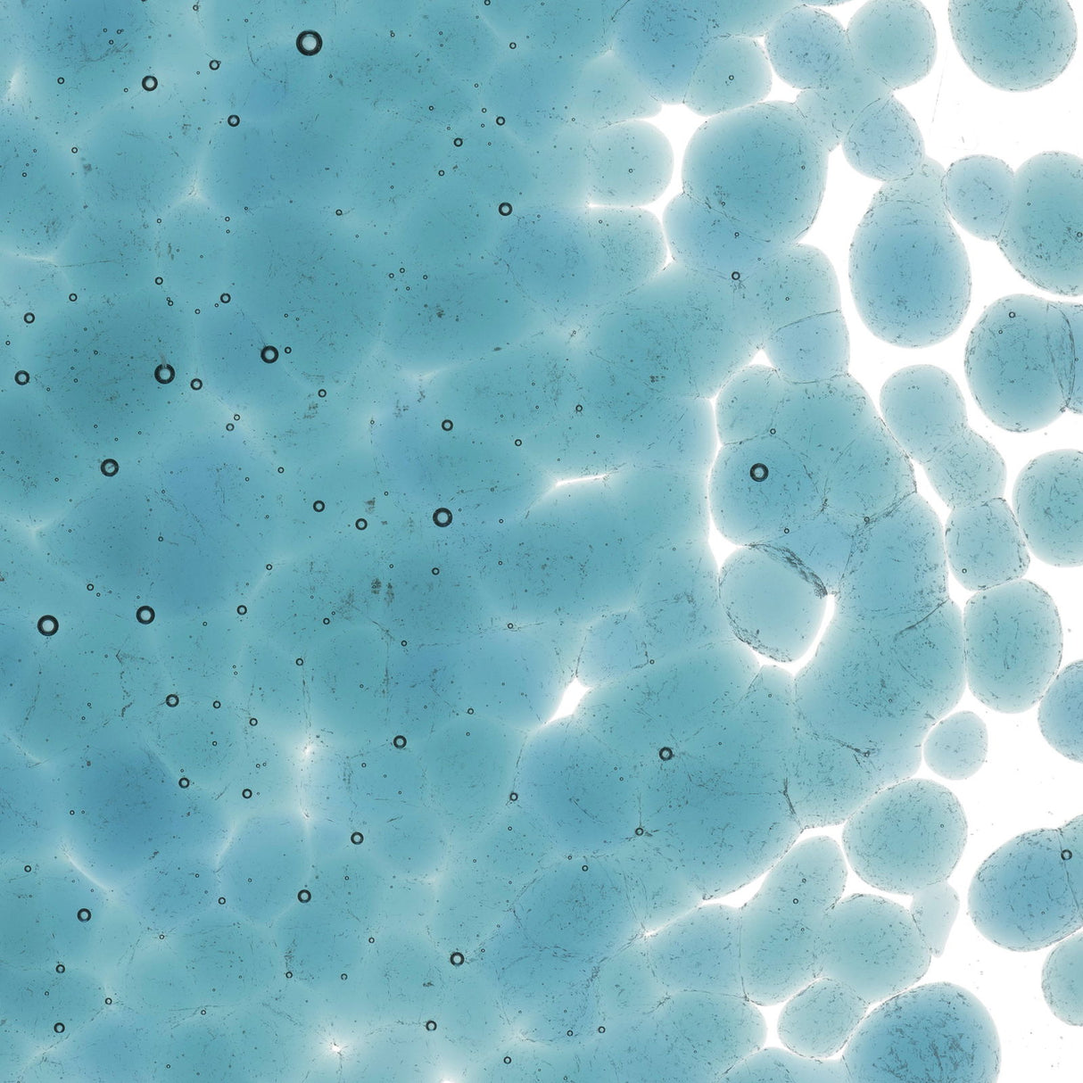 90 COE Frit Coarse Sea Blue Transparent - Stained Glass Express