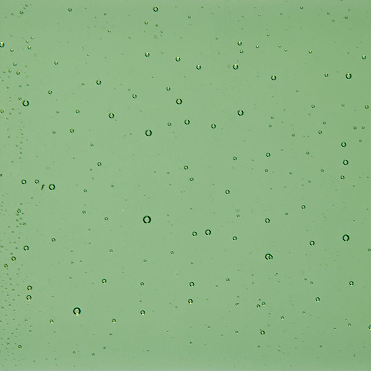 90 COE Leaf Green Trans - Stained Glass Express