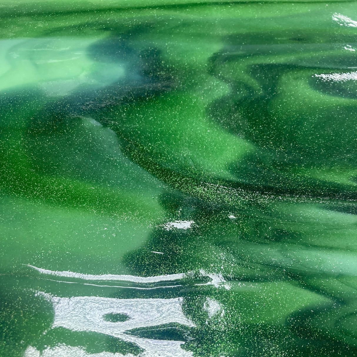 90 COE Mint Opal, Dark Forest Green Single-Rolled