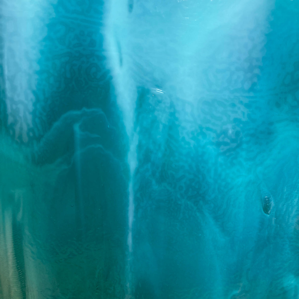 90 COE Peacock Blue, White_2