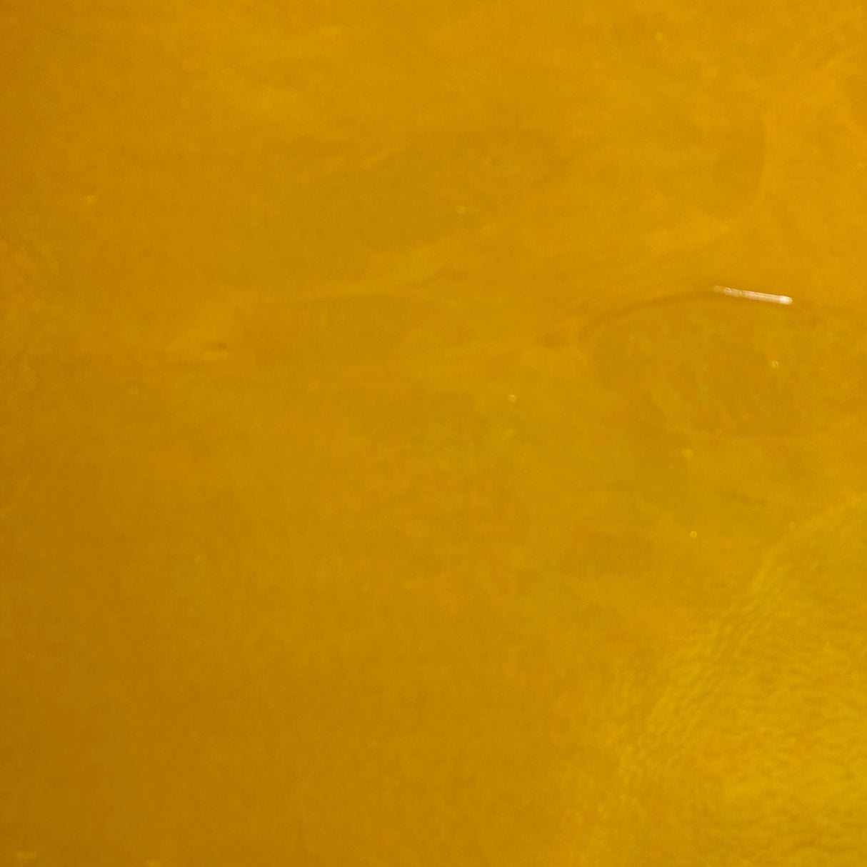 90 COE Pumpkin Orange_2