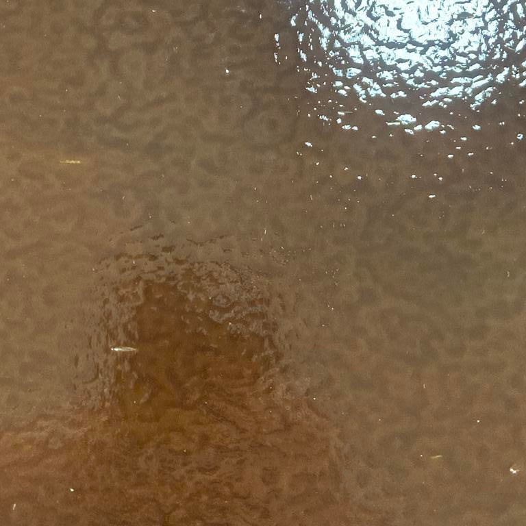 90 COE Woodland Brown Opal