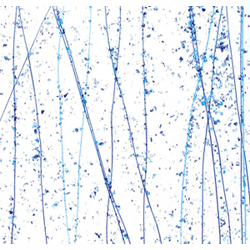 90 Coe Blue Frit, Streamers - Stained Glass Express
