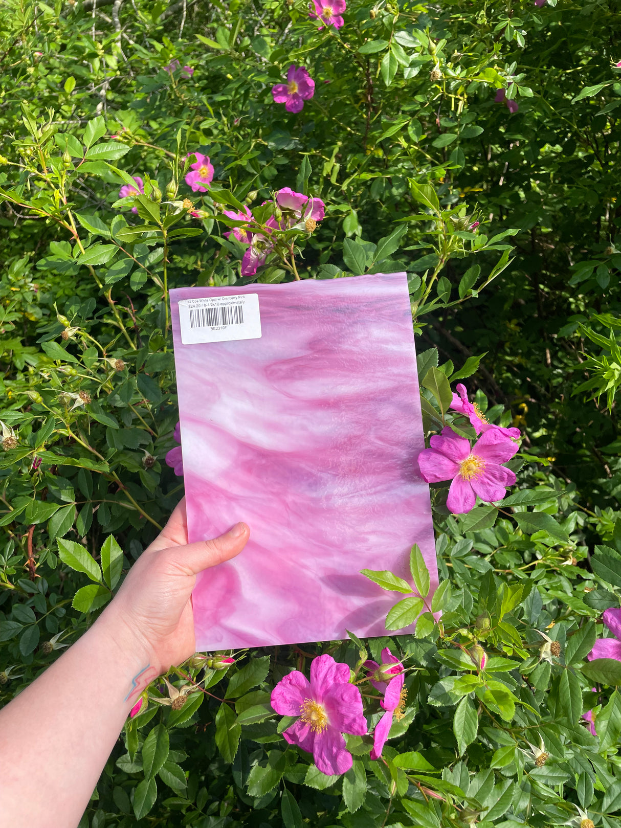 90 Coe White Opal w/ Cranberry Pink