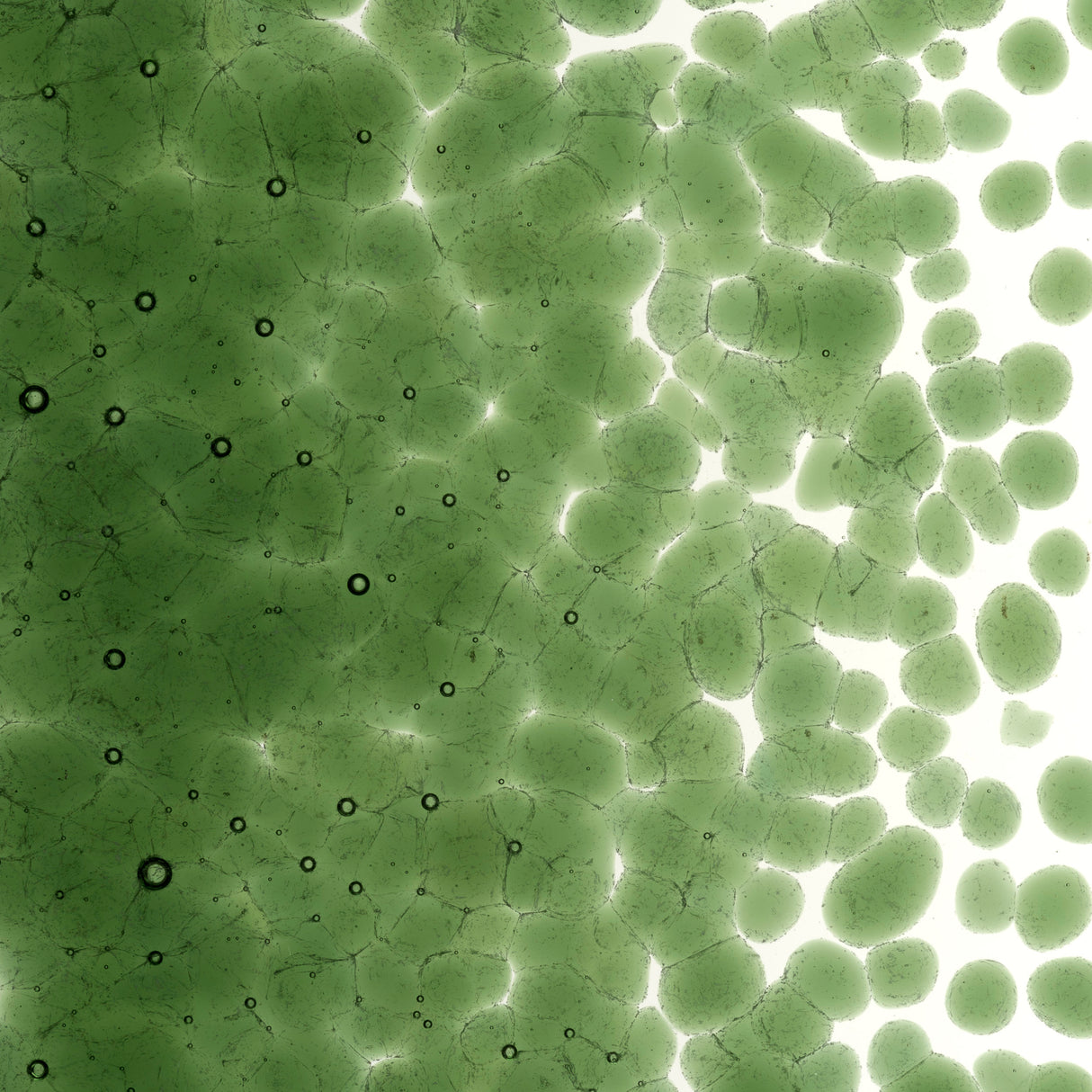 90 Frit Opal Coarse Olive Green