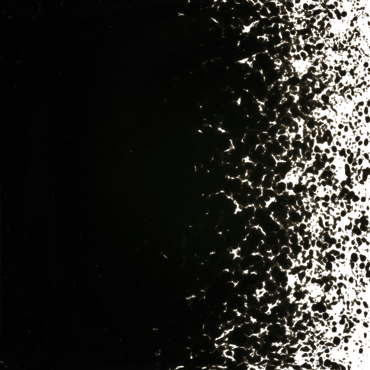 90 Frit Opal Fine Stiff Black