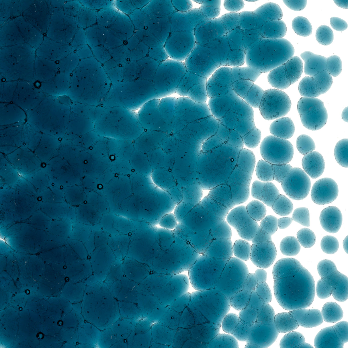 90 Frit Transparent Coarse Aquamarine Blue