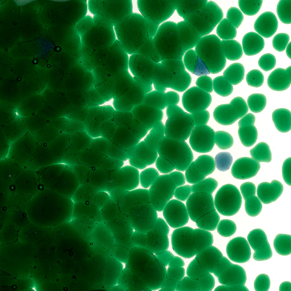 90 Frit Transparent Coarse Kelly Green