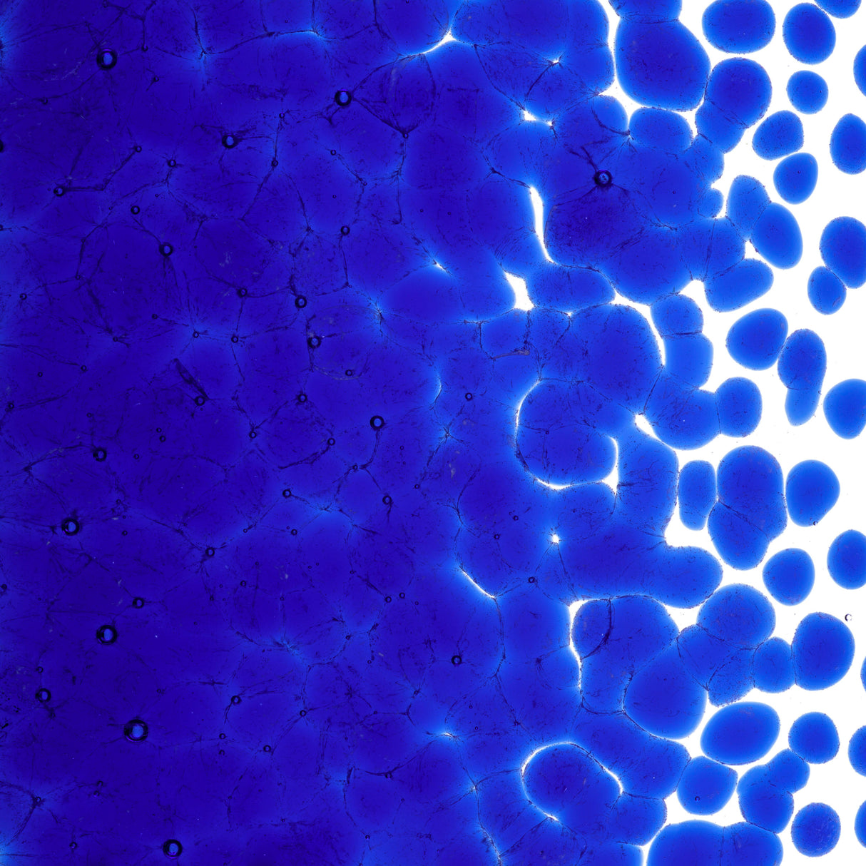 90 Frit Transparent Coarse Royal Blue