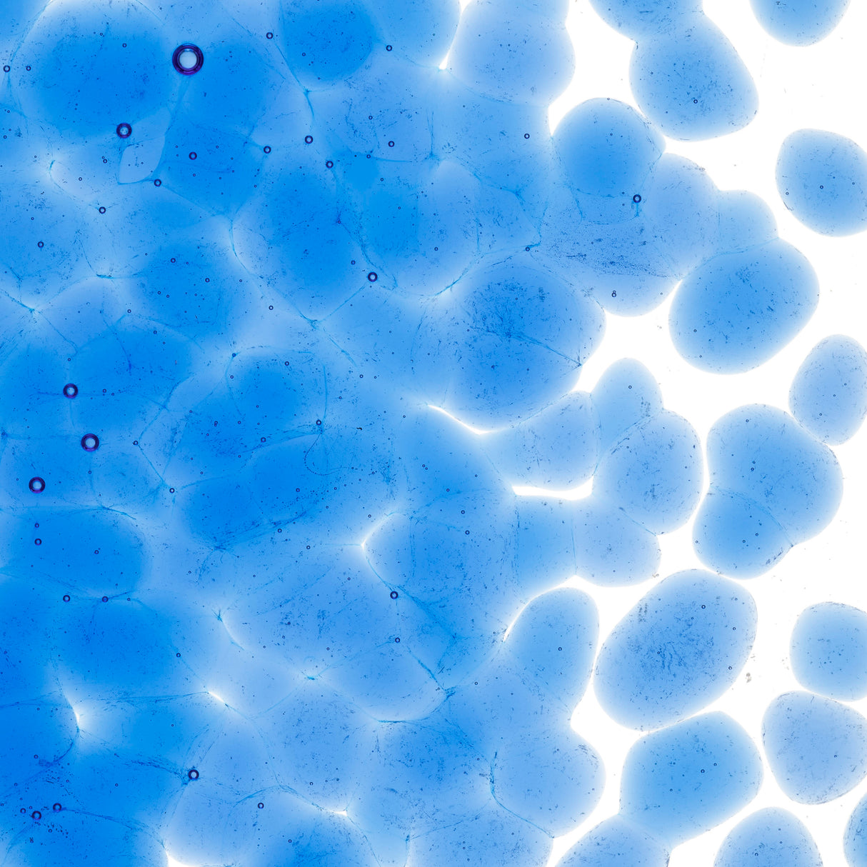 90 Frit Transparent Coarse True Blue