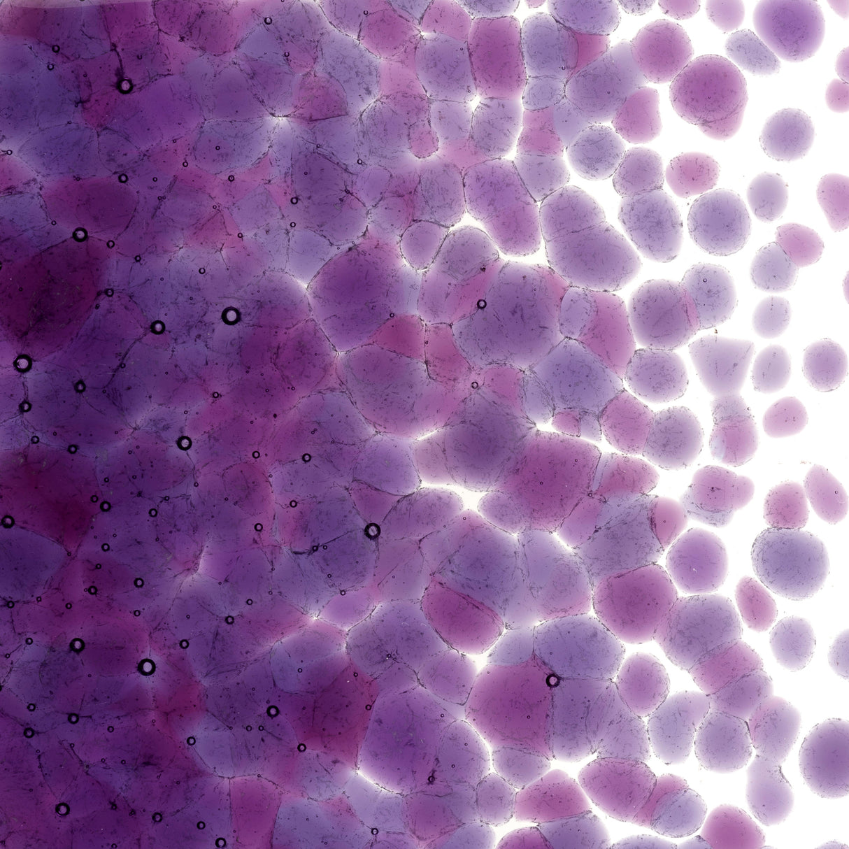 90 Frit Transparent Coarse Violet Striker