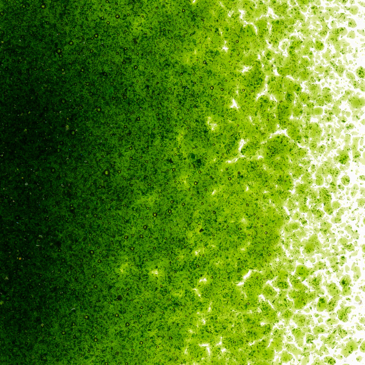 90 Frit Transparent Fine Light Green Aventurine