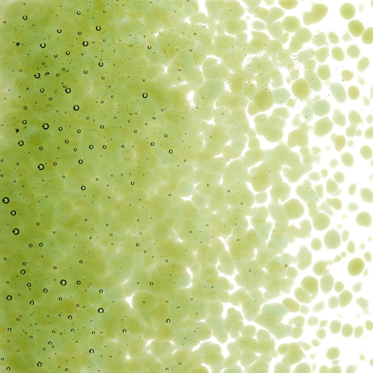 90 Frit Transparent Medium Fern Green