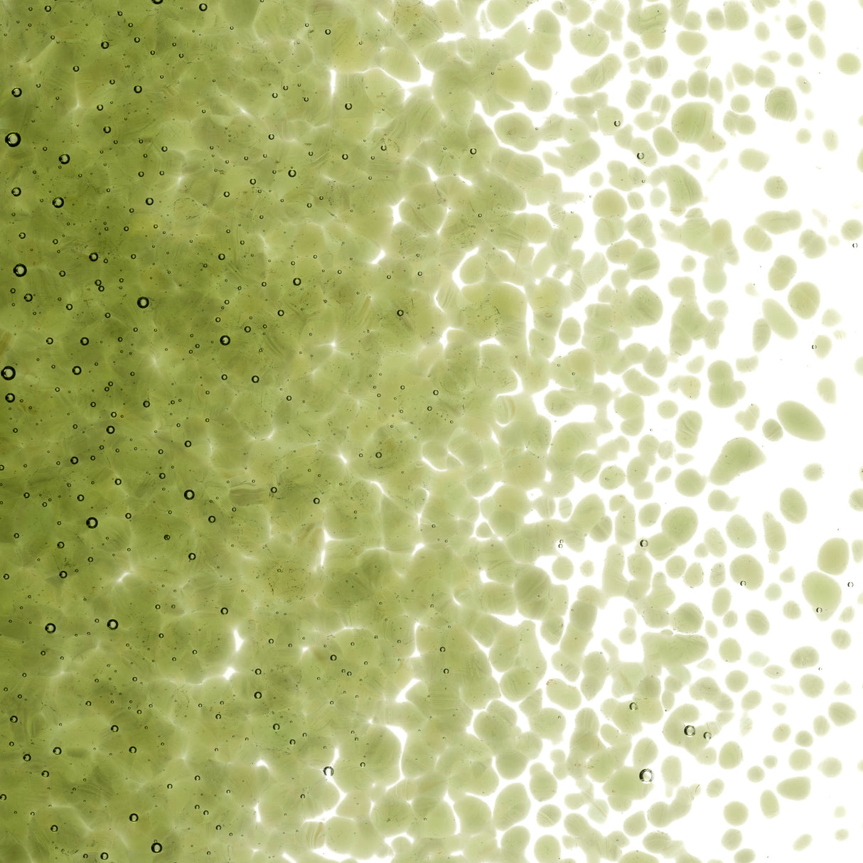 90 Frit Transparent Medium Pine Green