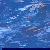 96 COE Dark Blue/White - Stained Glass Express