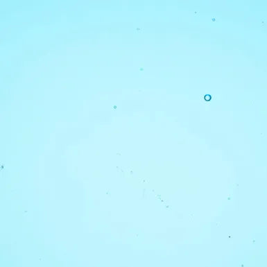 96 COE Deep Sky Blue