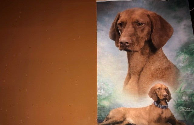 96 COE Terra Cotta Opal - Stained Glass Express