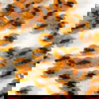 96 Coe Bat Millefiori - Stained Glass Express