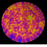 96 Coe Dichroic Black under Purple/Magenta/Gold Aurora Borealis - Stained Glass Express