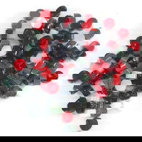 96 Coe Dots Holiday Mix - Stained Glass Express