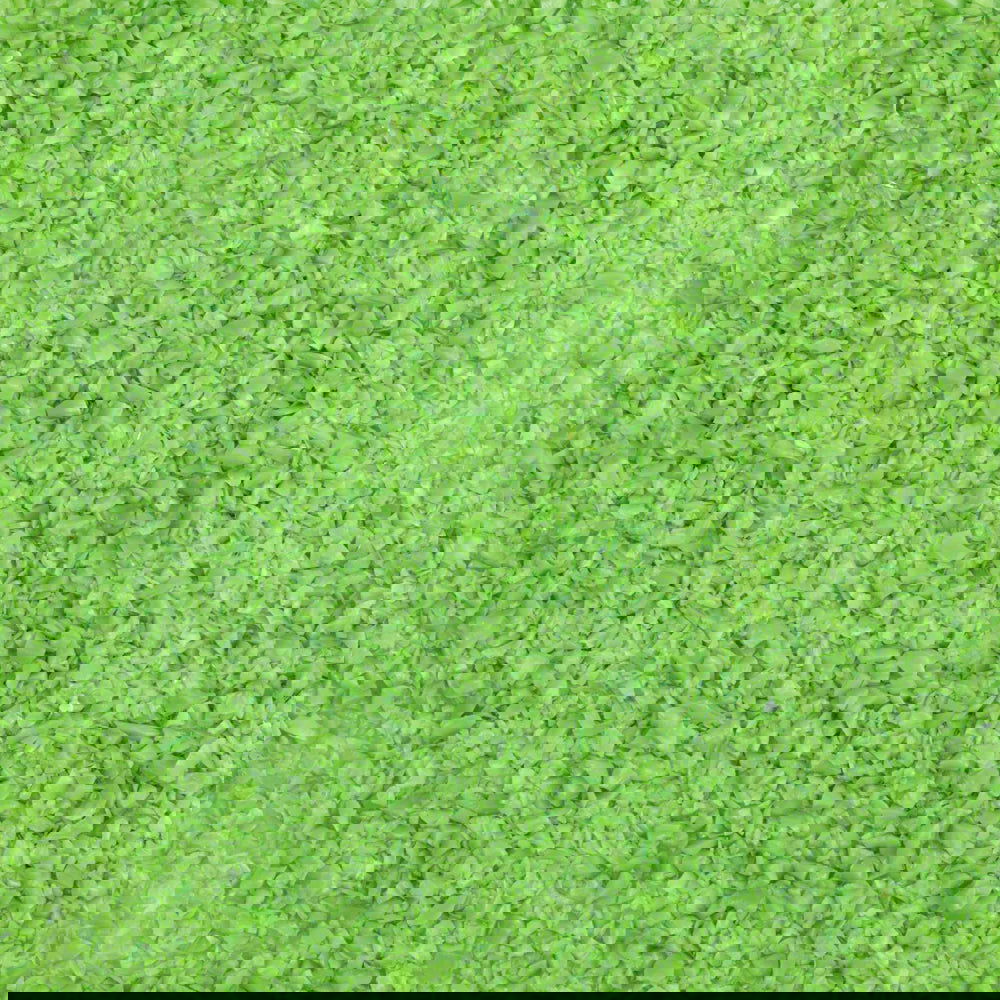 96 Coe Frit Opal Medium 8oz. - Stained Glass Express