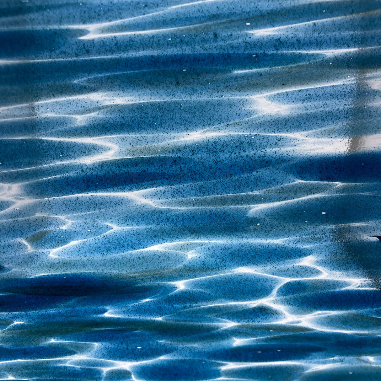 96 Coe Fusers Reserve Odyssey backlit