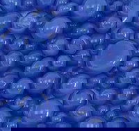 96 Coe Medium Blue Opal Frit Balls - Stained Glass Express