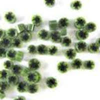 96 Coe Millefiori Spider - Stained Glass Express