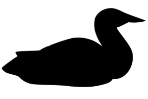 96 Coe Precut Loon - Stained Glass Express