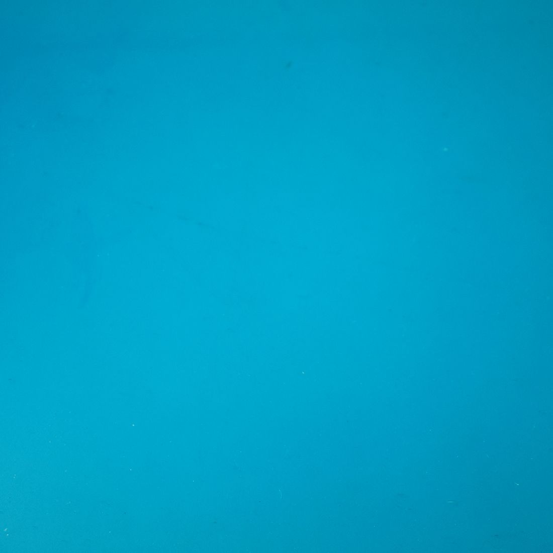 96 Coe Topaz Blue Cathedral - Stained Glass Express