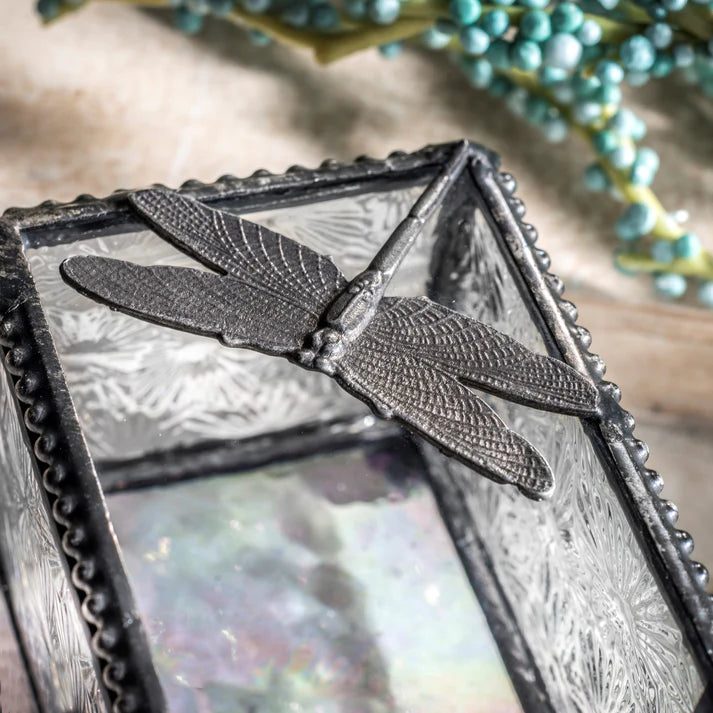 BOX, 2X3 SYCAMORE DRAGONFLY