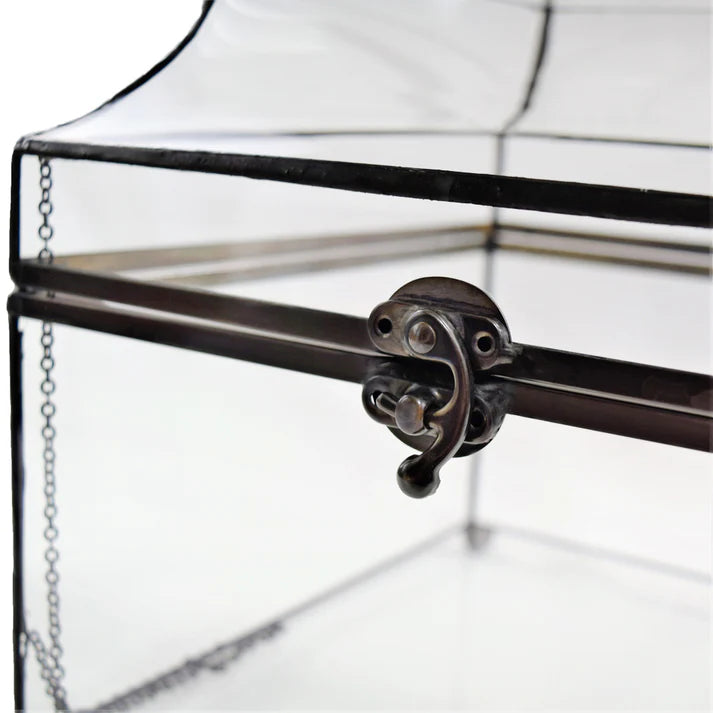 BOX, CLEAR DISPLAY CASE