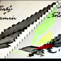 Baby Sharmin Dragon Casting - Stained Glass Express