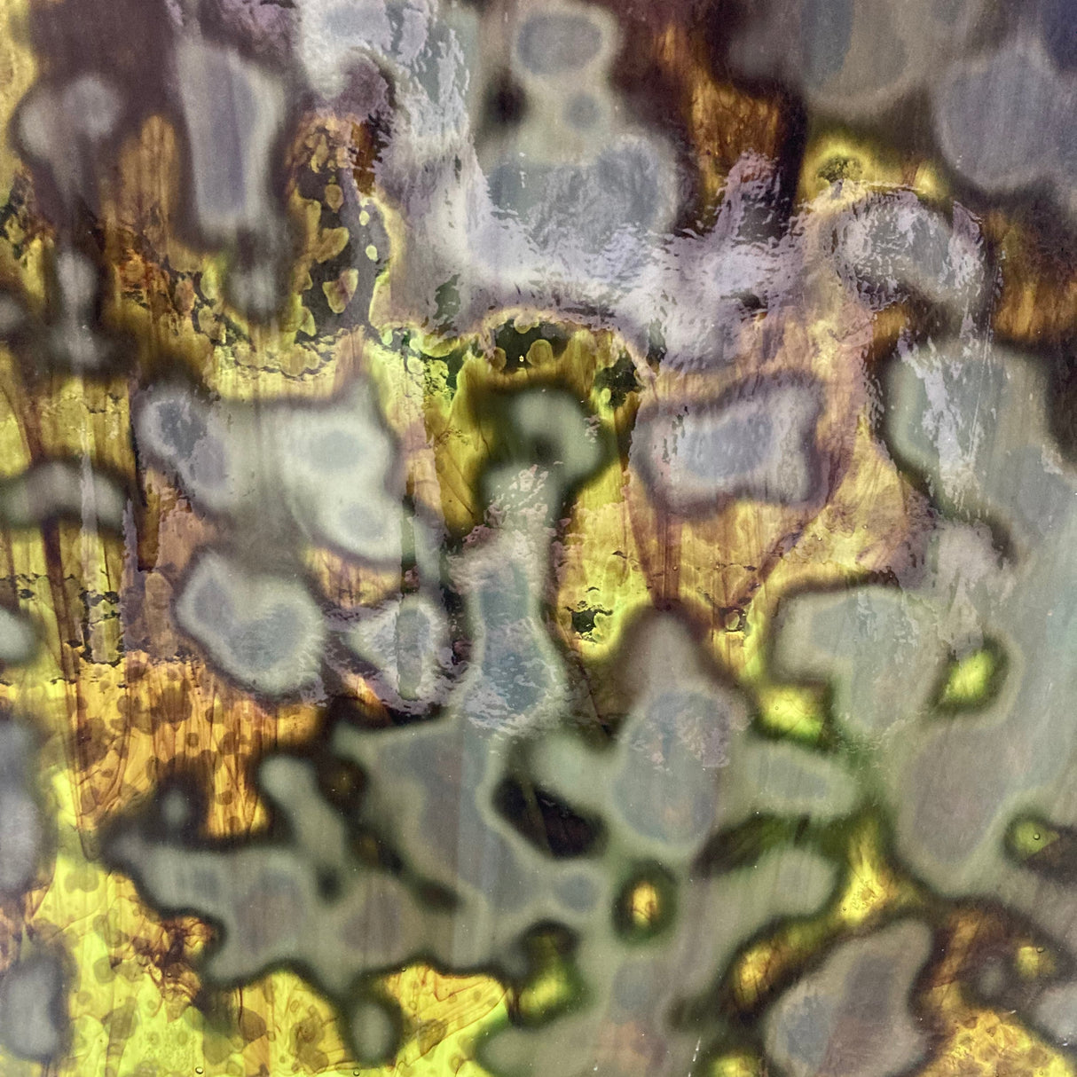 Chrome Green and Dark Brown Oceana