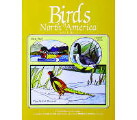 Birds of North America Volume 2 - Stained Glass Express
