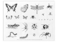 Bugs Designer Silk Screen - Stained Glass Express