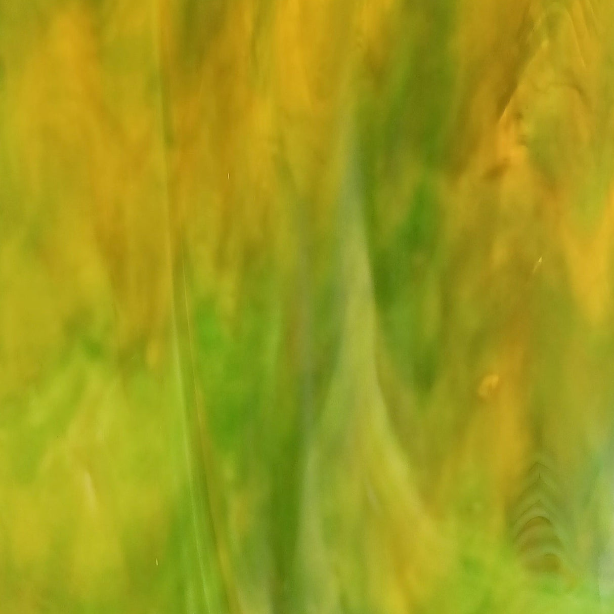 Dark Green and Dark Amber Translucent