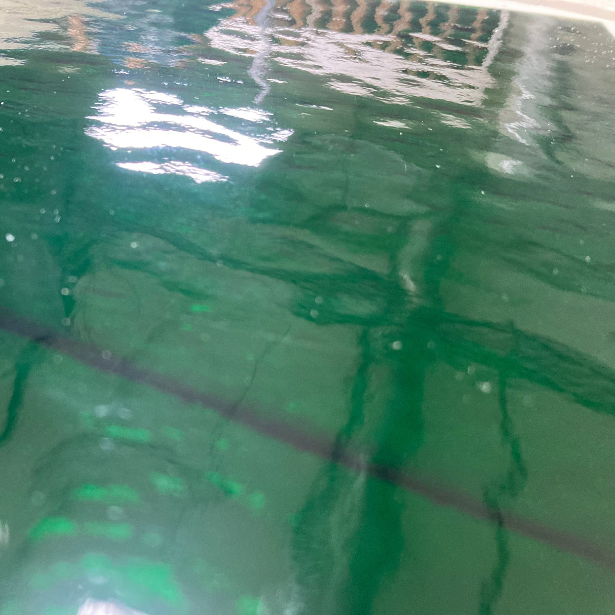 96 COE Express Pack Beginner's Basic Rough Rolled