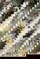 Gnome Ornaments Mold - Stained Glass Express