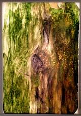 Green, Ambers, Browns Stipple - Stained Glass Express