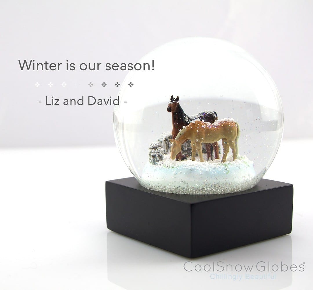 Horses Snow Globe
