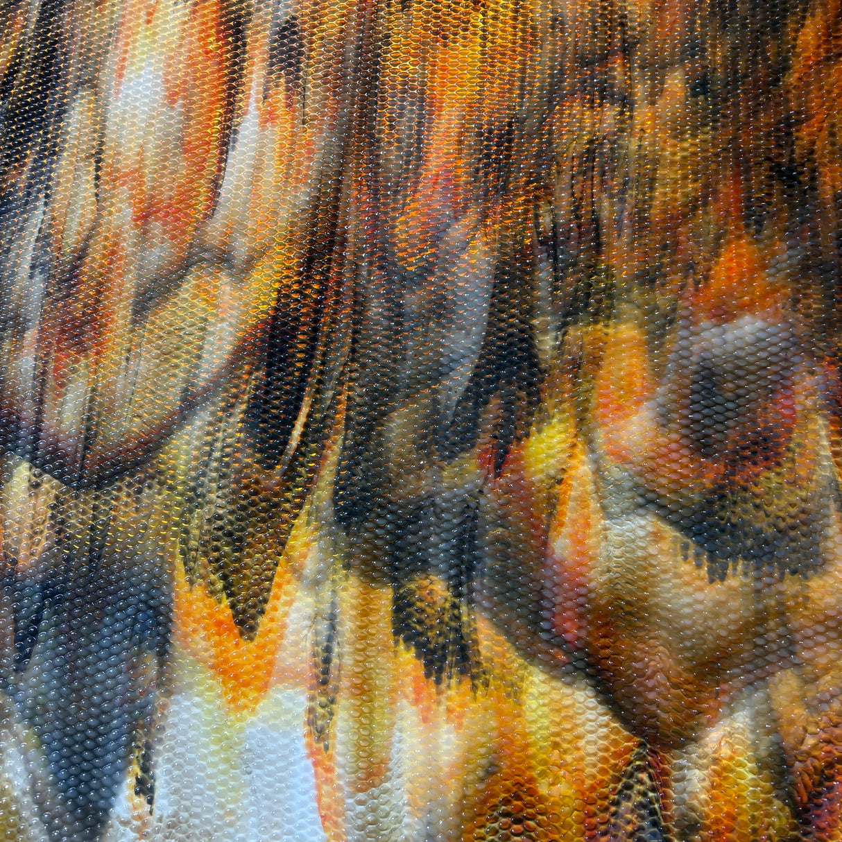 Koi Fish