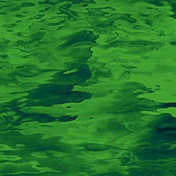 Medium Green Cathedral Waterglass 96 COE - Stained Glass Express