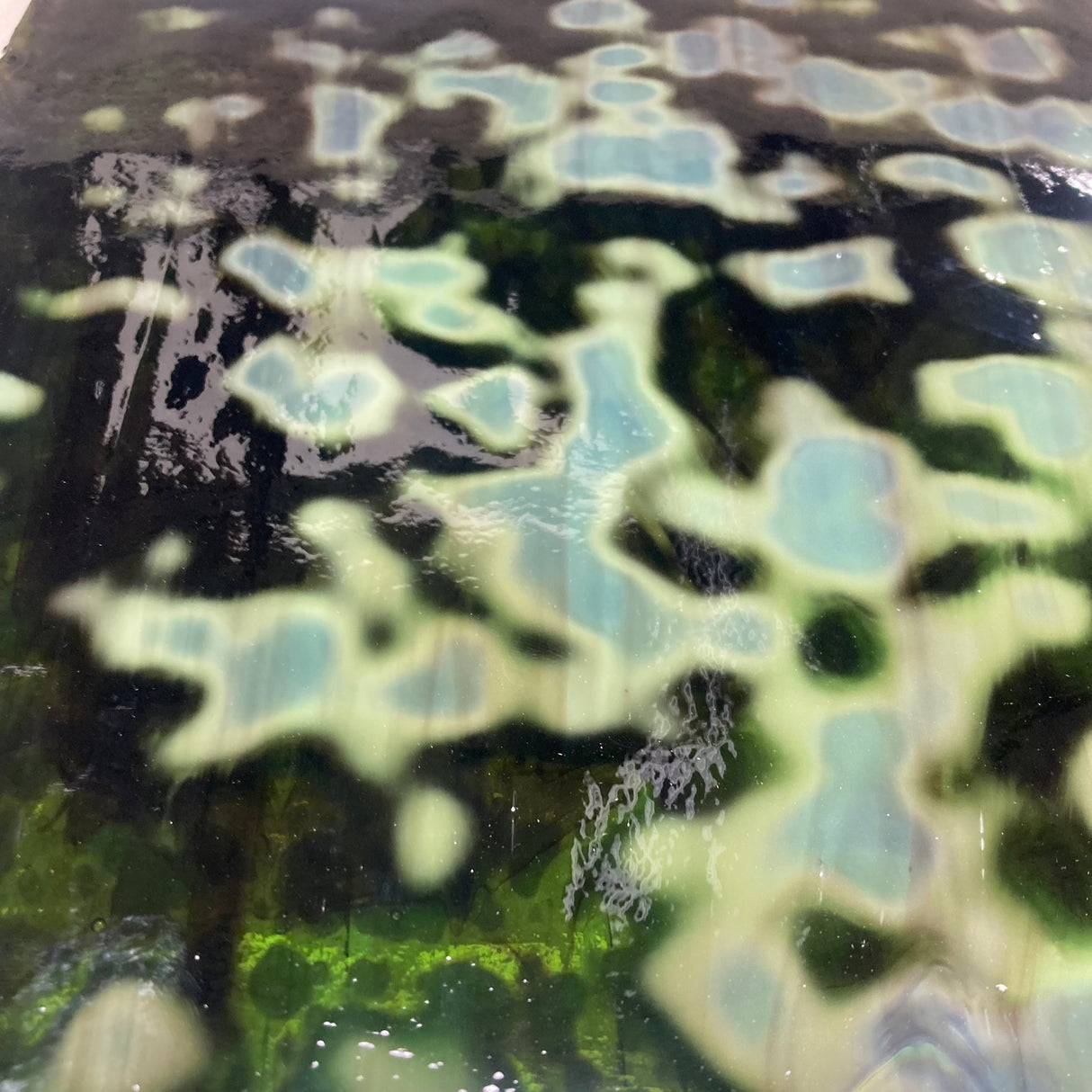 Chrome Green and Dark Brown Oceana